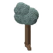 Ancient tree