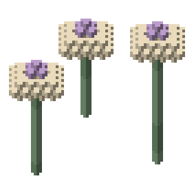 Moonflower patch
