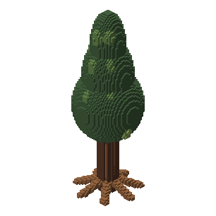 Tall courtyard cypress