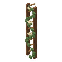 Climbing ivy trellis