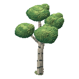 Whisperleaf Silver Birch