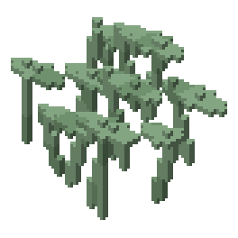 Star fern