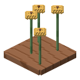 Sunflower clump