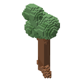 Orchard sapling