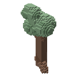 Silver sapling