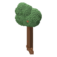 Apple tree