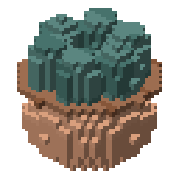 Small succulent